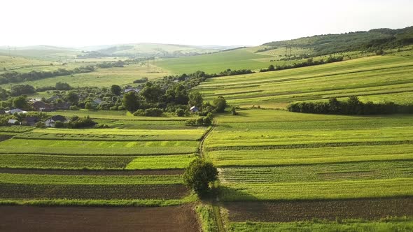 Aerial view of green agriculture fields in spring with fresh vegetation after seeding season.