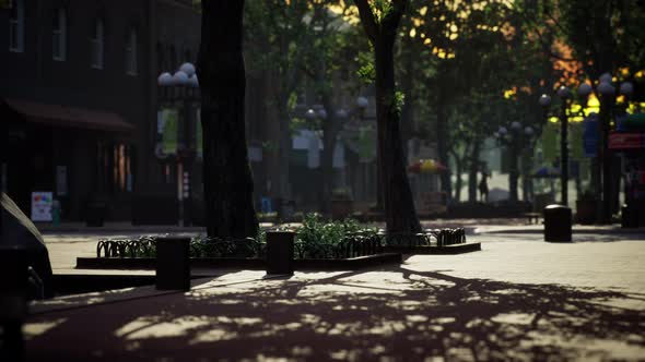 Lockdown Coronavirus Covid19 Empty Streets alt