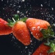 Strawberries splashing into water - VideoHive Item for Sale