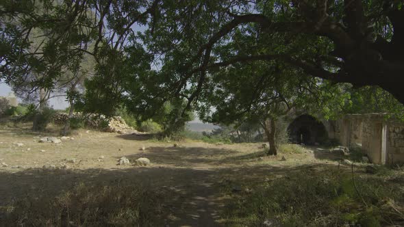 Ruins on a hill