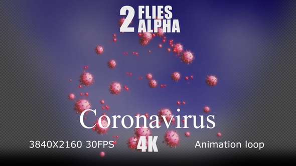 Coronavirus 