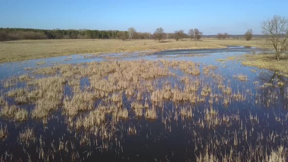 Flight Over the Swampy Terrain in the Spring