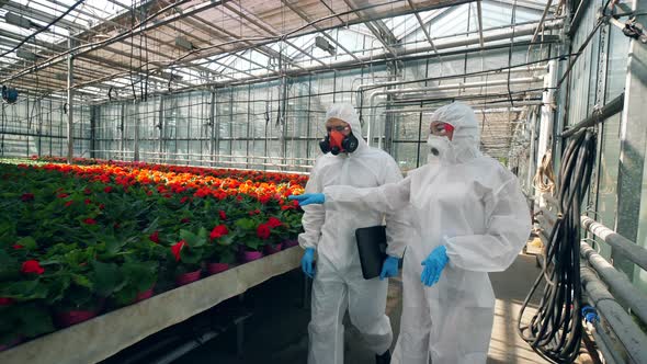 People in Uniform Walk in a Greenhouse, Talking.