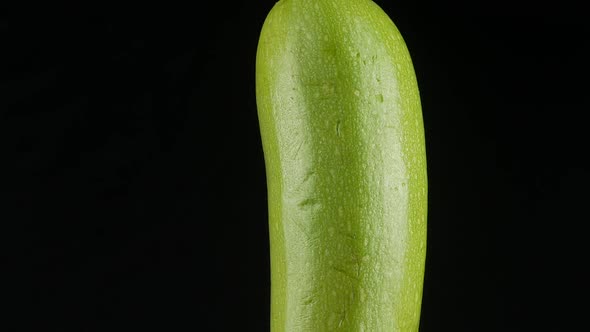 fresh green zucchini