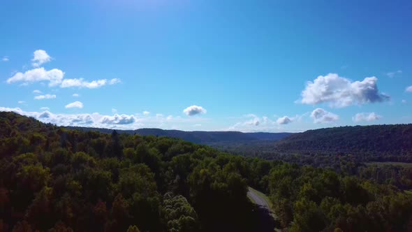 Aerial Video of Forest in Summer at Sunset. Countryside