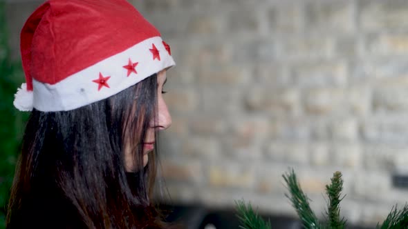 Woman Decorating Christmas Tree at Home Holiday Concept