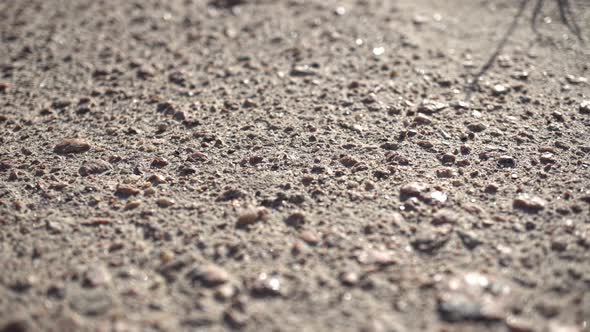 Macro Asphalt Background At Sunset