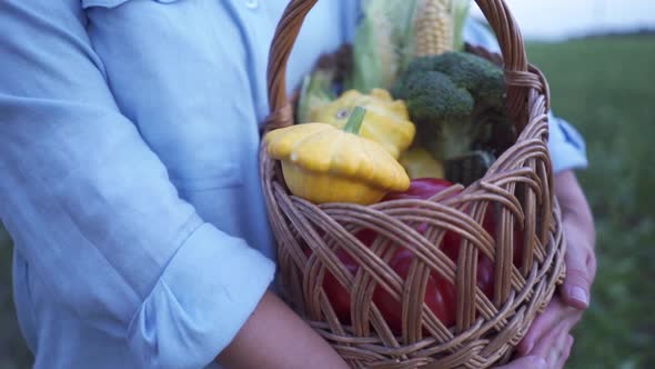 Farmer Holding a Basketof Freshly Picked Organic Vegetables