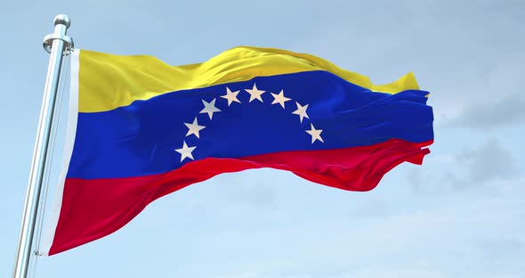 Venezuela  Flag Waving  Loop  4K 