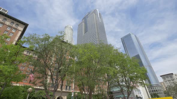 Low angle of trees and skyscrapers