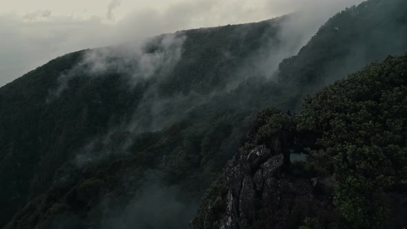 Mountain Slope Covered with Forest