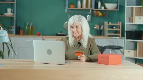 Elderly Woman Shopping Online From Home Using Laptop and Credit Card