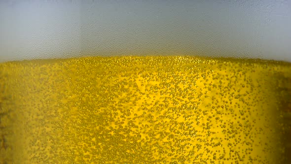 Extreme close-up beer bubbles in glass, Slow Motion alt