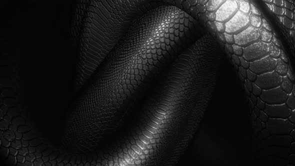 4K Black Snake Knot Loop alt