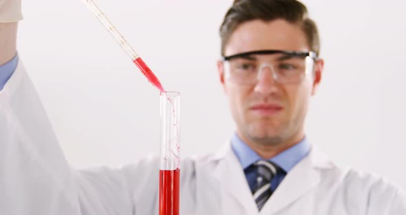 Lab technician checking blood sample in tube
