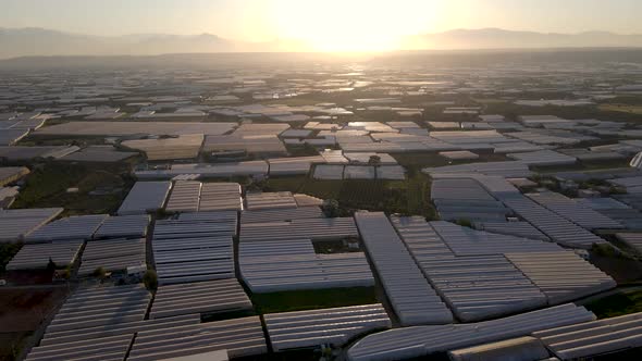 Greenhouses at Sunset