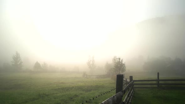 Foggy Morning in Carpathian Village in Summer