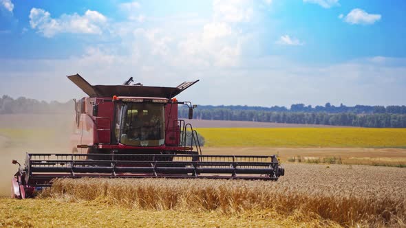 Front view on a combine harvester working on field