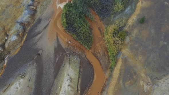 The Polluted Bank of the Poisoned River