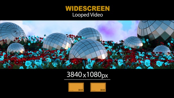 Widescreen Mirror Balls In Flowers 01