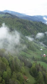 Vertical Video of Fog in the Mountains