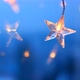 Star garland.Christmas and New Years time. Shining star on blue background - VideoHive Item for Sale