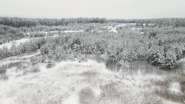 Festive Snowcovered Forest in Cool Winter Weather Aerial View