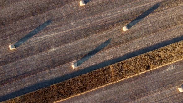 Straw bales at sunset seen from the air, drone view