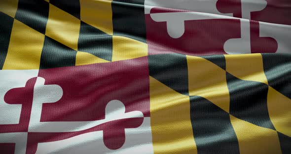 Maryland waving flag loop