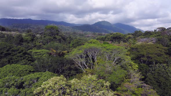 High Aerial Drone View of Rainforest and Mountains in Costa Rica, Tropical Jungle Landscape Scenery