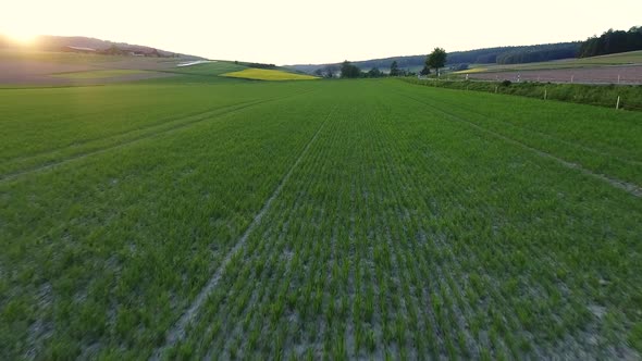 Aerial video of newly growing crops on farms in the Swiss countryside, Bachs, Switzerland
