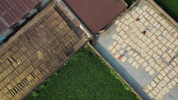 Aerial view of Women at work on preparation of natural fiber, Barga, Bangladesh.