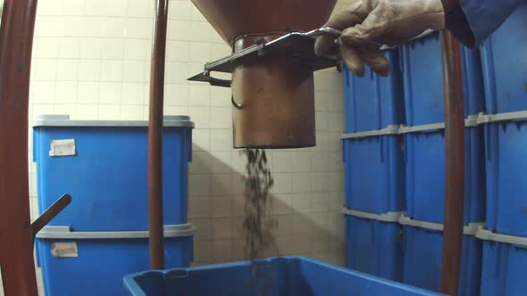 Coffee Grains Falling From Roasting Machine Into Box