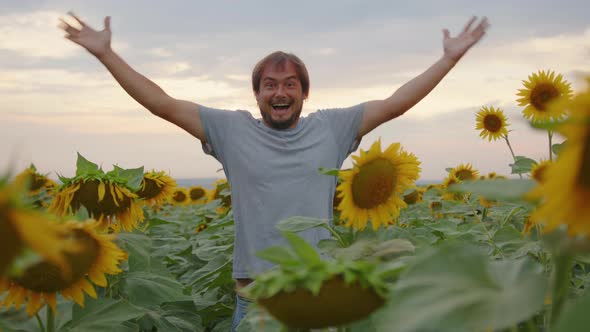 Happy Man in the Field with Sunflowers