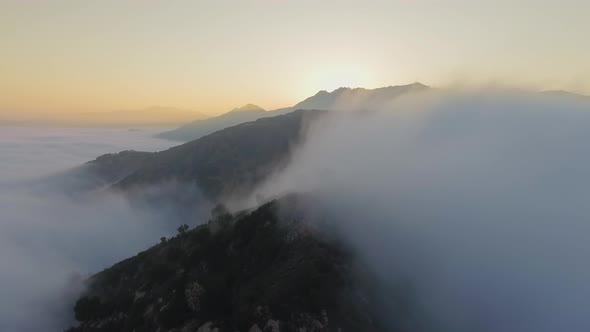 Forest with fog and clouds in a mountain landscape in Malibu Canyon, Calabasas, California, USA