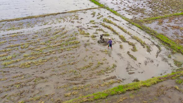 Farmer Using Walking Tractor Plowing in Rice Field to Prepare the Area to Grow Rice