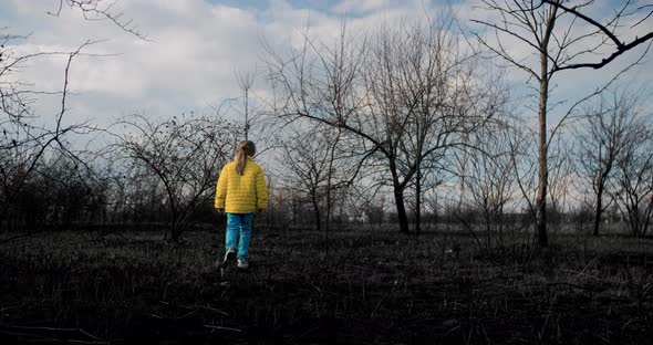 Girl in Colorful Ukrainian Clothes Walks on a Burnt Field After the War Bombing