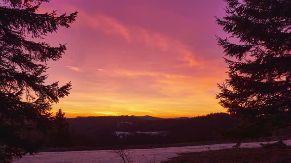 Pastel colored sky at dusk between two trees