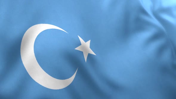 East Turkestan Flag / Uyghur Flag