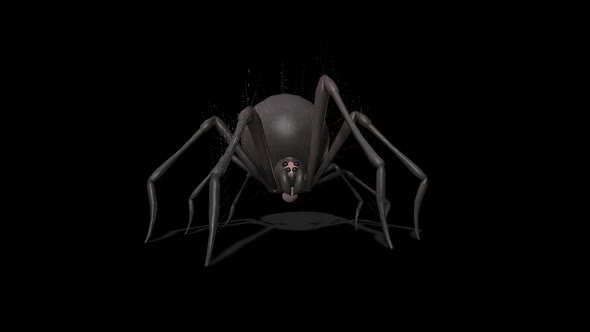 Spider Idle