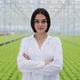 Agricultural Engineer in Greenhouse Wearing White Coat Looking Into the Camera. Portrait of a - VideoHive Item for Sale