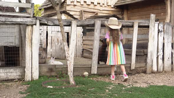 A Farmer Girl Feeds a Goat and a Rabbit on the Farm