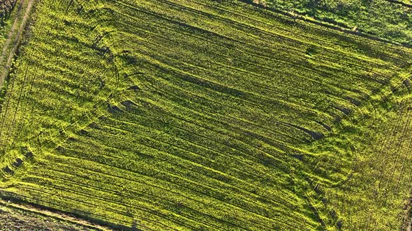 Farm Landscapes Background Texture 4 K Aerial View