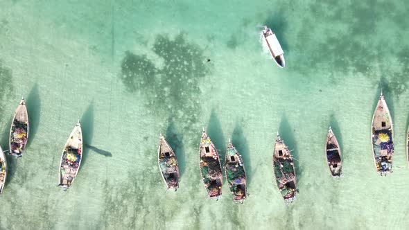 Zanzibar Tanzania  Boats on Ocean Water Near the Shore