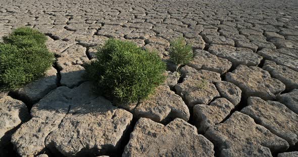 Dryness in the Camargue, France