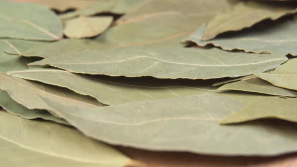 Dried leaves of bay leaf macro.