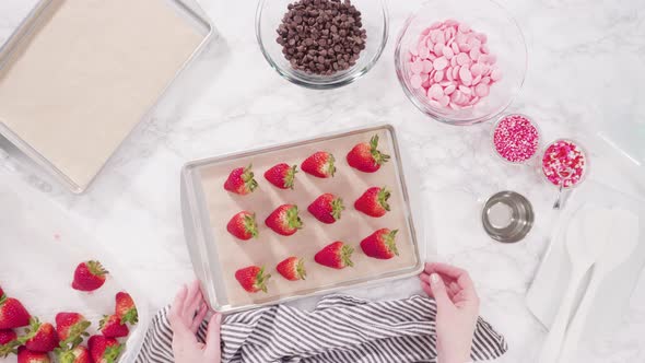 Flat lay. Step by step. Arranging organic strawberries on a baking sheet to make chocolate dipped st