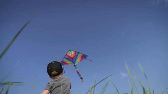 Happy Little Boy Playing with a Flying Kite in Meadow on Sunny Day. Summer Concept.