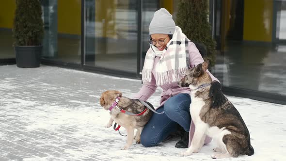 A Beautiful African American Woman Walking with Two Dogs