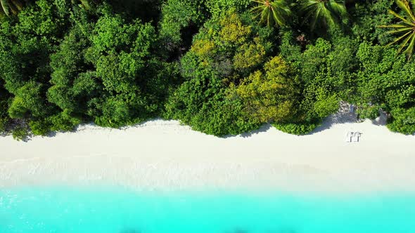 Paradise white beach with untouched fine sand under shadow of lush vegetation and palm trees washed